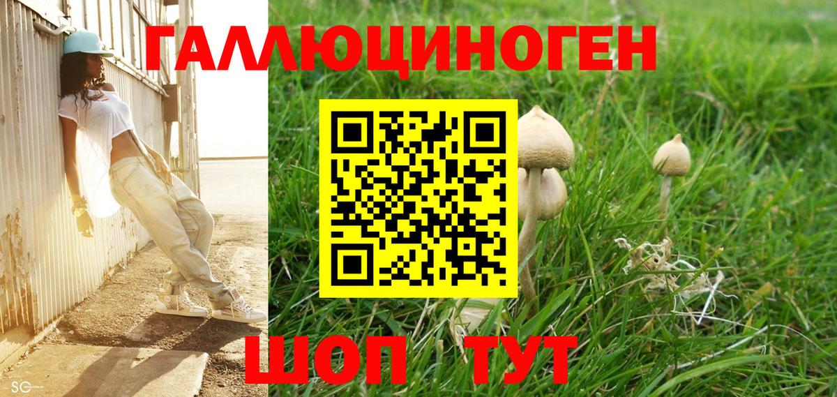 Галлюциногенные грибы MAGIC MUSHROOMS Псков